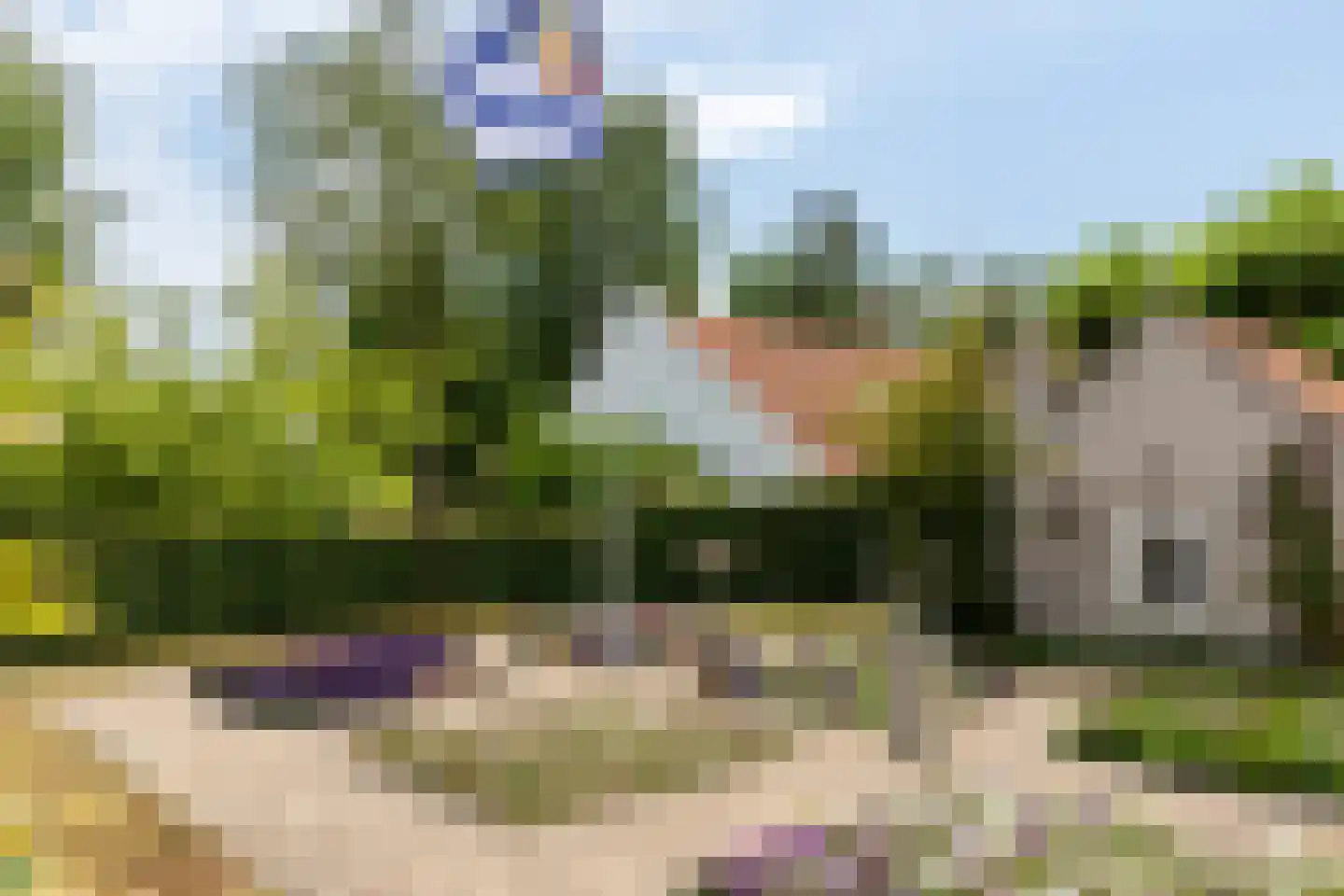 Kuijerdamseweg 33 Ellemeet thumbnail 96