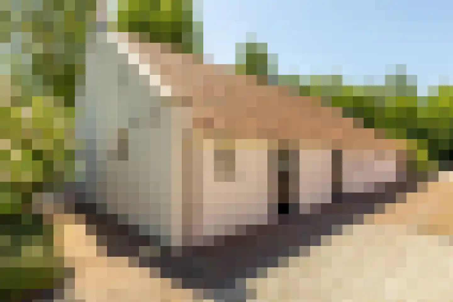 Kuijerdamseweg 33 Ellemeet thumbnail 99