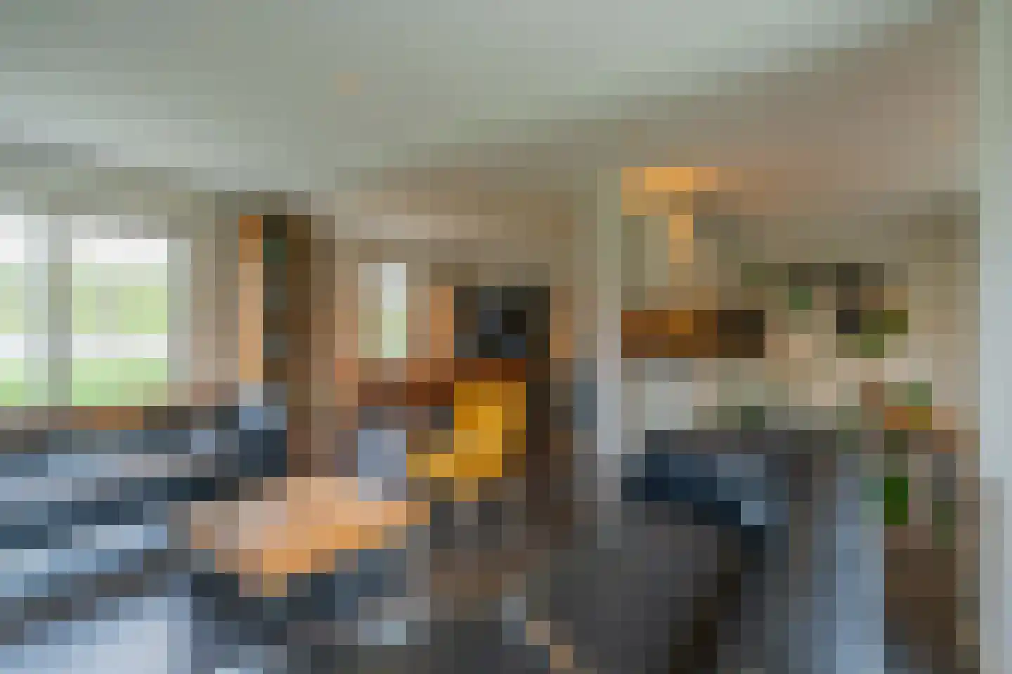 Kuijerdamseweg 68 Scharendijke thumbnail 13