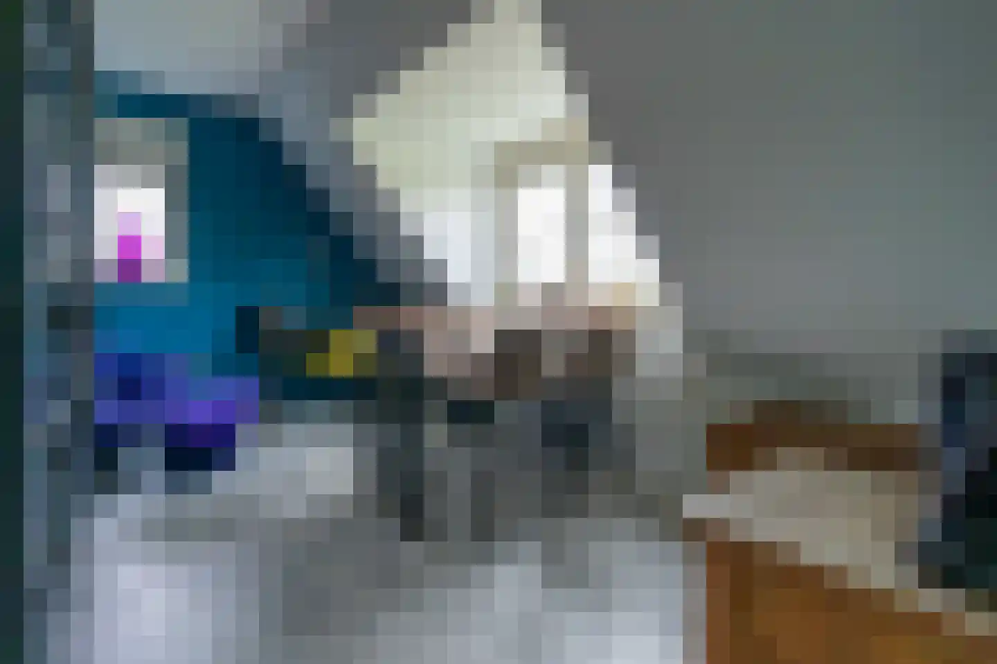 Kuijerdamseweg 68 Scharendijke thumbnail 25