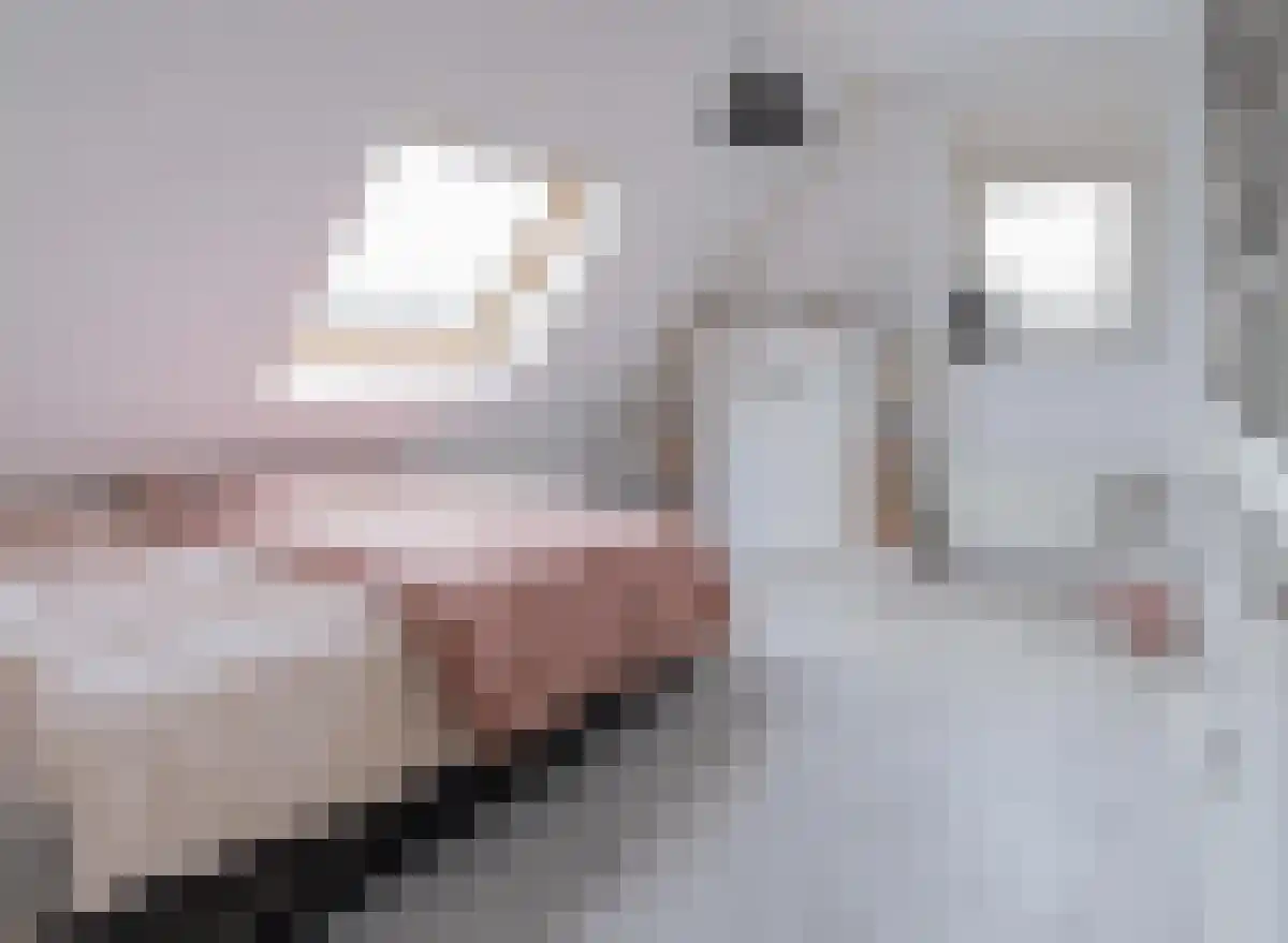 Kuijerdamseweg 68 Scharendijke thumbnail 27
