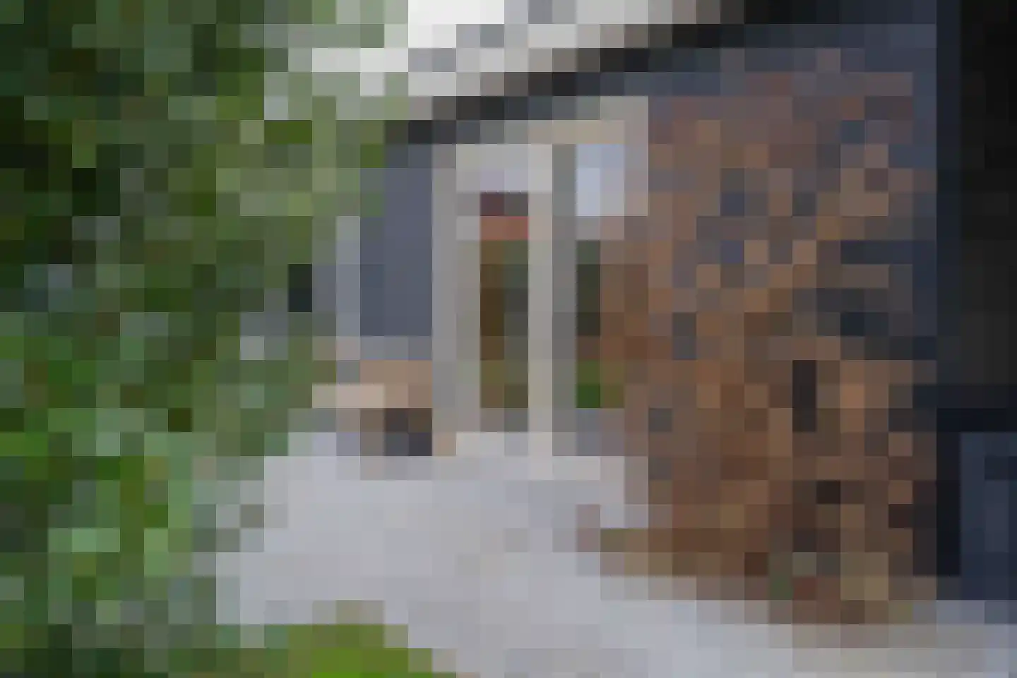 Kuijerdamseweg 68 Scharendijke thumbnail 36