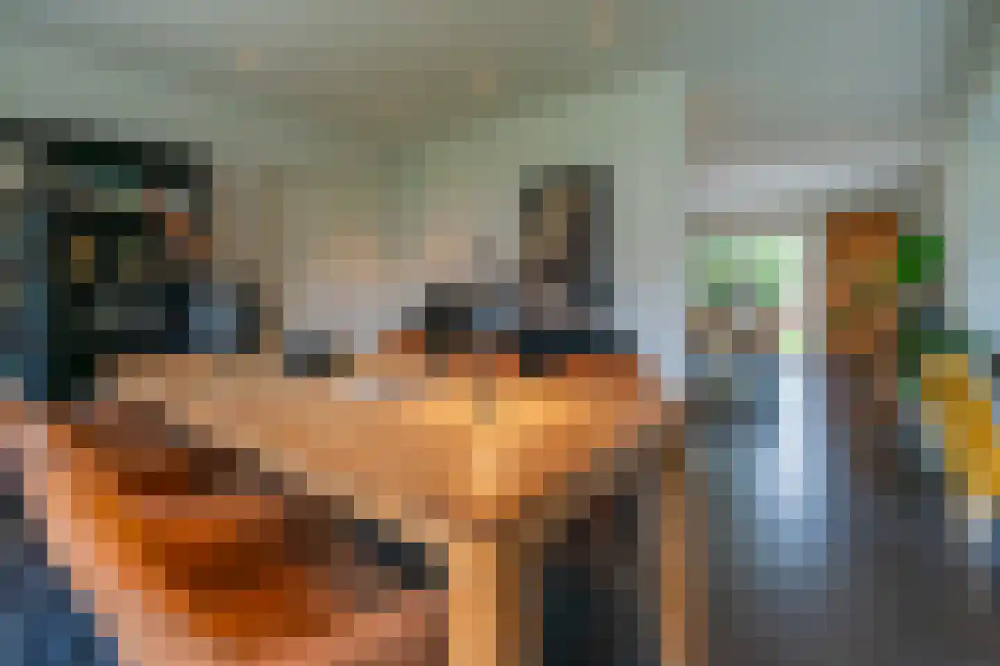 Kuijerdamseweg 68 Scharendijke thumbnail 4