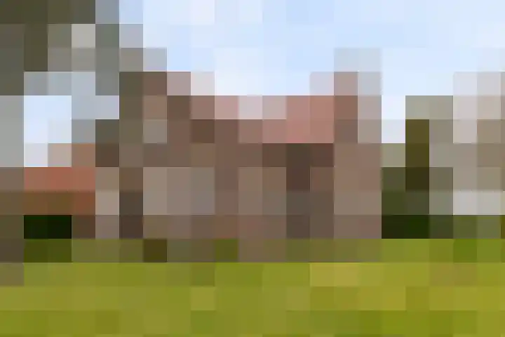Kuijerdamseweg 9 Noordwelle thumbnail 5