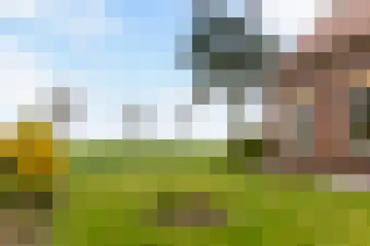 Kuijerdamseweg 9 Noordwelle thumbnail 8