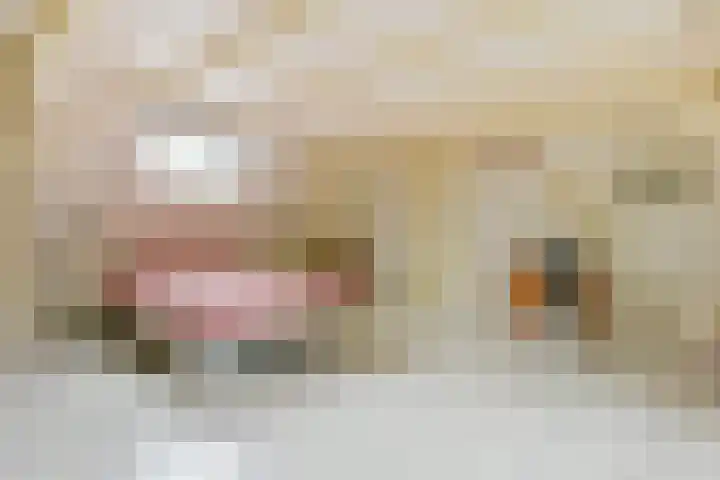 Kuijerpad 2 Nederhorst den Berg thumbnail 19