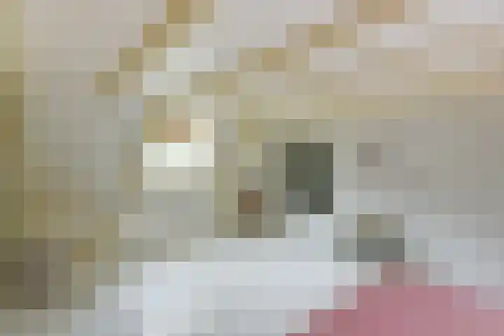 Kuijerpad 2 Nederhorst den Berg thumbnail 20
