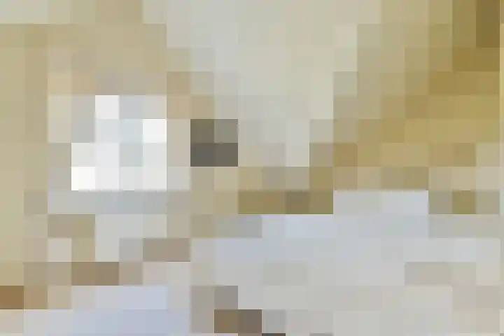 Kuijerpad 4 Blaricum thumbnail 18