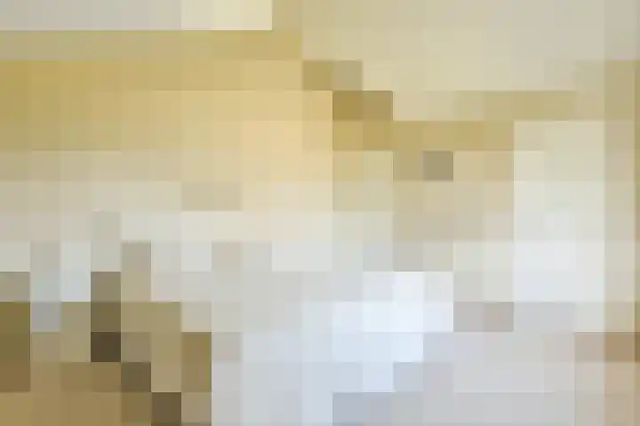 Kuijerpad 4 Blaricum thumbnail 20