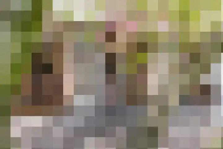Kuijperlaan 14 Heusden thumbnail 18
