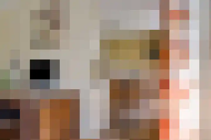 Kuijperlaan 14 Heusden thumbnail 20