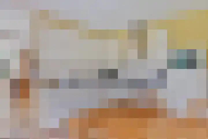 Kuijperlaan 14 Heusden thumbnail 21