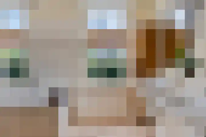 Kuijperlaan 14 Heusden thumbnail 42