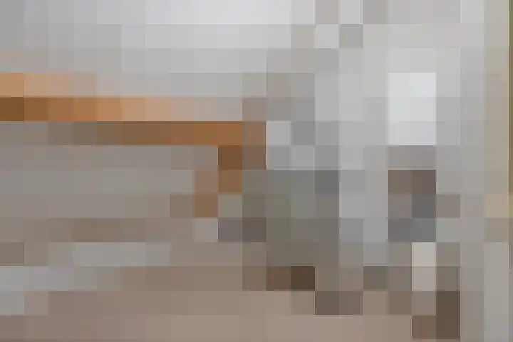 Kuijperlaan 14 Heusden thumbnail 53