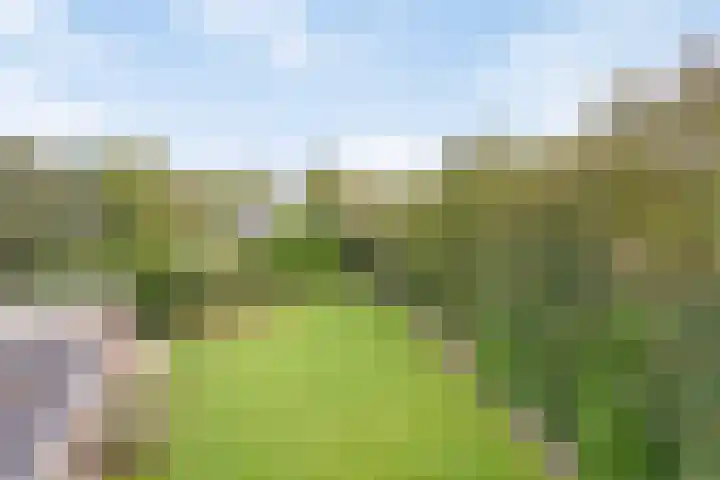 Kuijperlaan 14 Heusden thumbnail 60