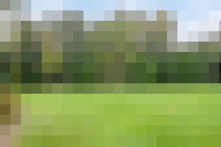 Kuijperlaan 14 Heusden thumbnail 63