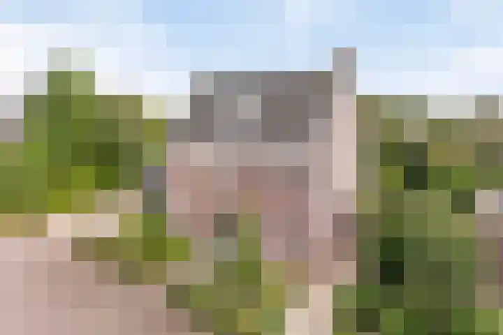Kuijperlaan 14 Heusden thumbnail 75