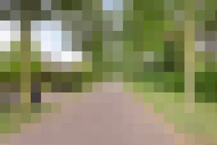 Kuijperlaan 14 Heusden thumbnail 77