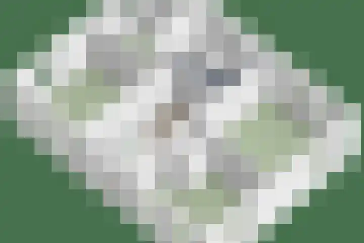 Kuijperlaan 14 Heusden thumbnail 81