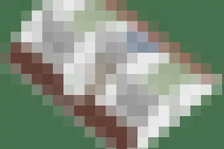 Kuijperlaan 14 Heusden thumbnail 83