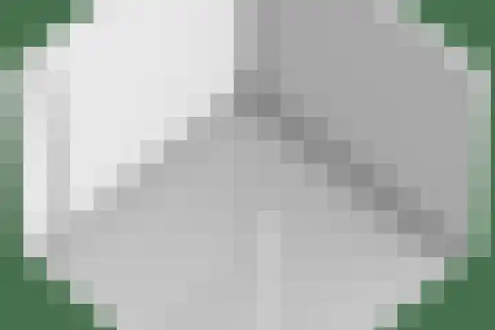 Kuijperlaan 14 Heusden thumbnail 87