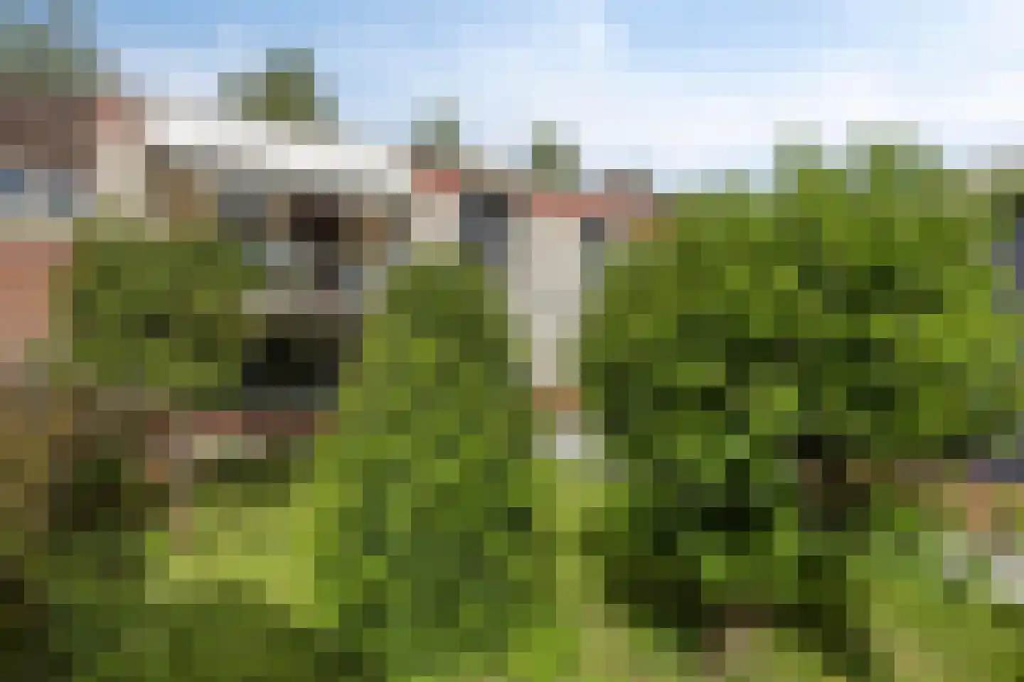 Kuijpersdijk 12 's-Heerenhoek thumbnail 39
