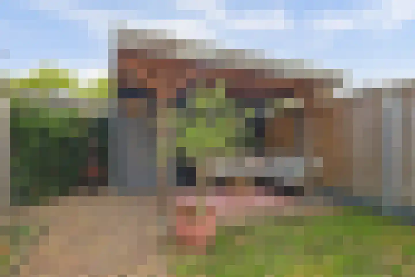 Kuijpersdijk 16 's-Heerenhoek thumbnail 43