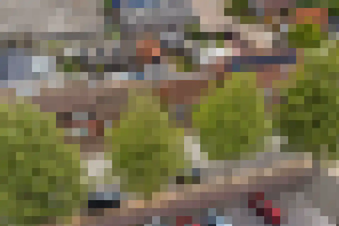 Kuijpersdijk 16 's-Heerenhoek thumbnail 52