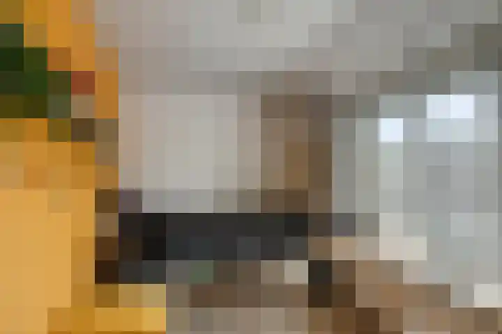 Kuijpersstraat 20 Helmond thumbnail 31