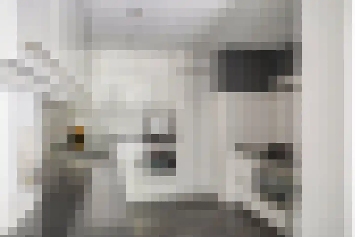 Kuijperstraat 14 Elst thumbnail 20