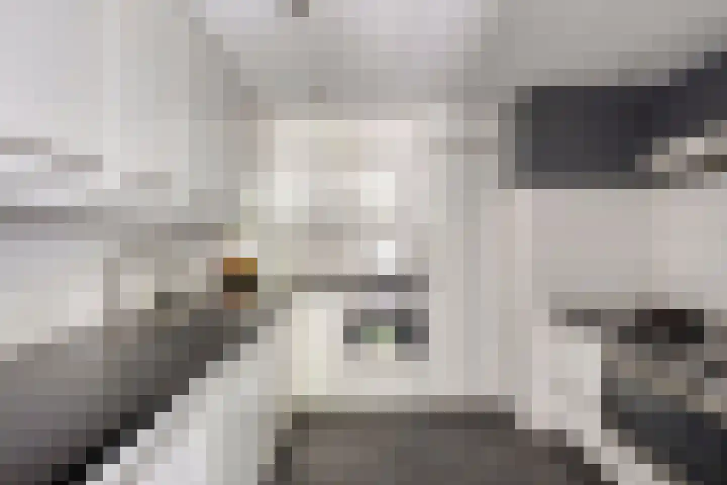 Kuijperstraat 14 Elst thumbnail 21