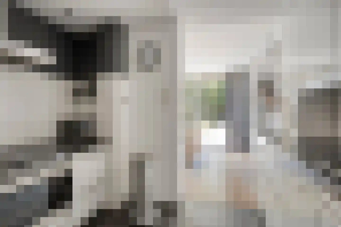 Kuijperstraat 14 Elst thumbnail 22
