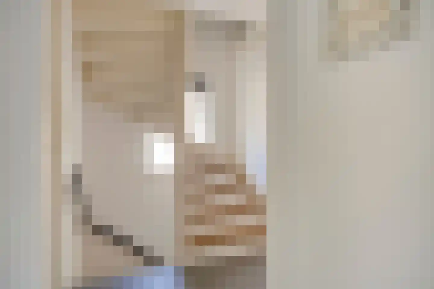Kuijperstraat 14 Elst thumbnail 24