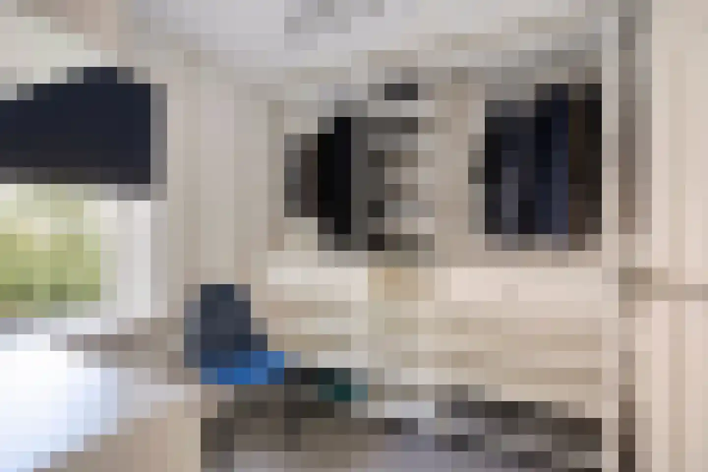 Kuijperstraat 14 Elst thumbnail 32