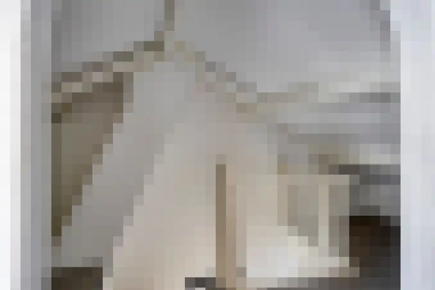Kuijperstraat 14 Elst thumbnail 36