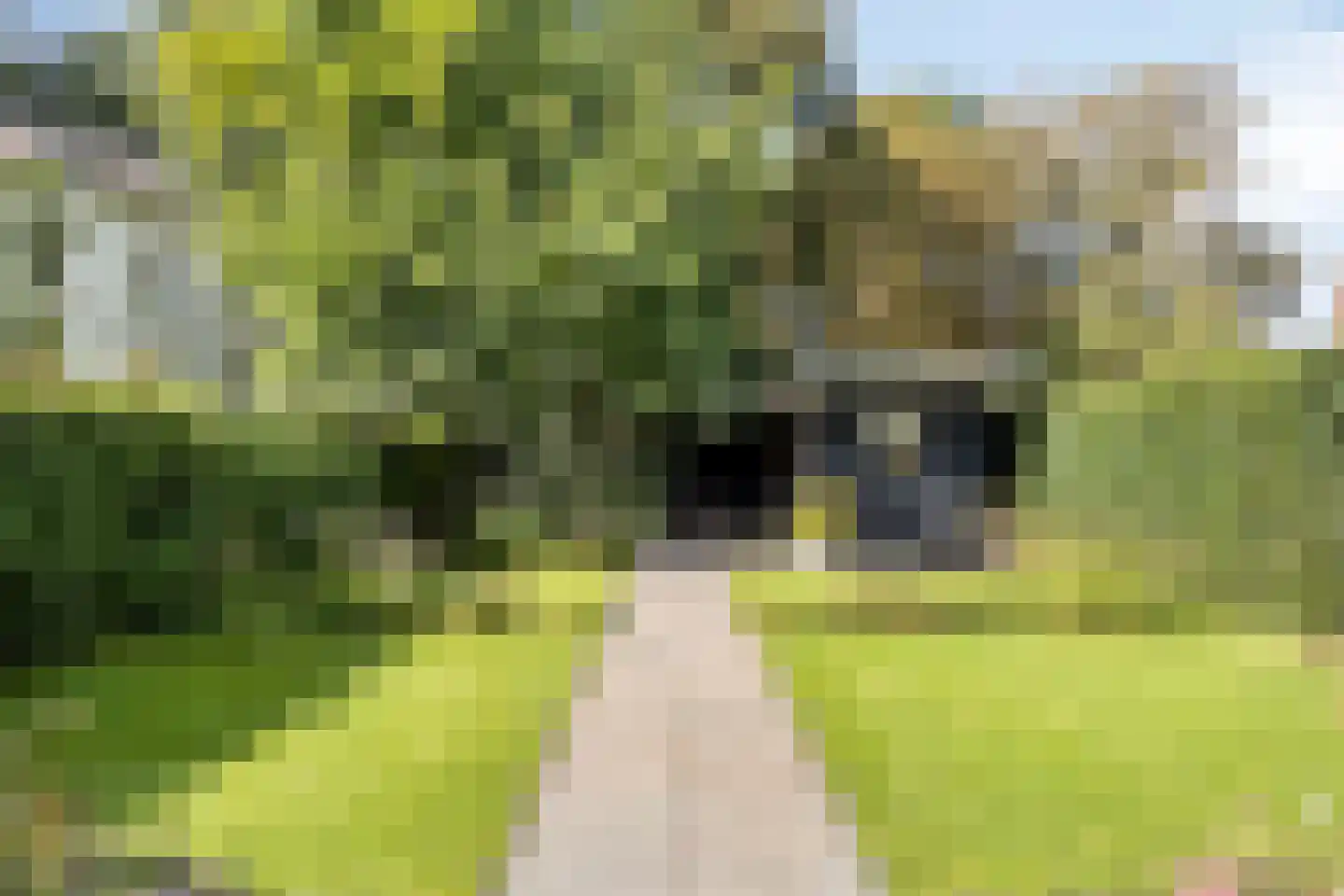 Kuijperstraat 14 Elst thumbnail 4
