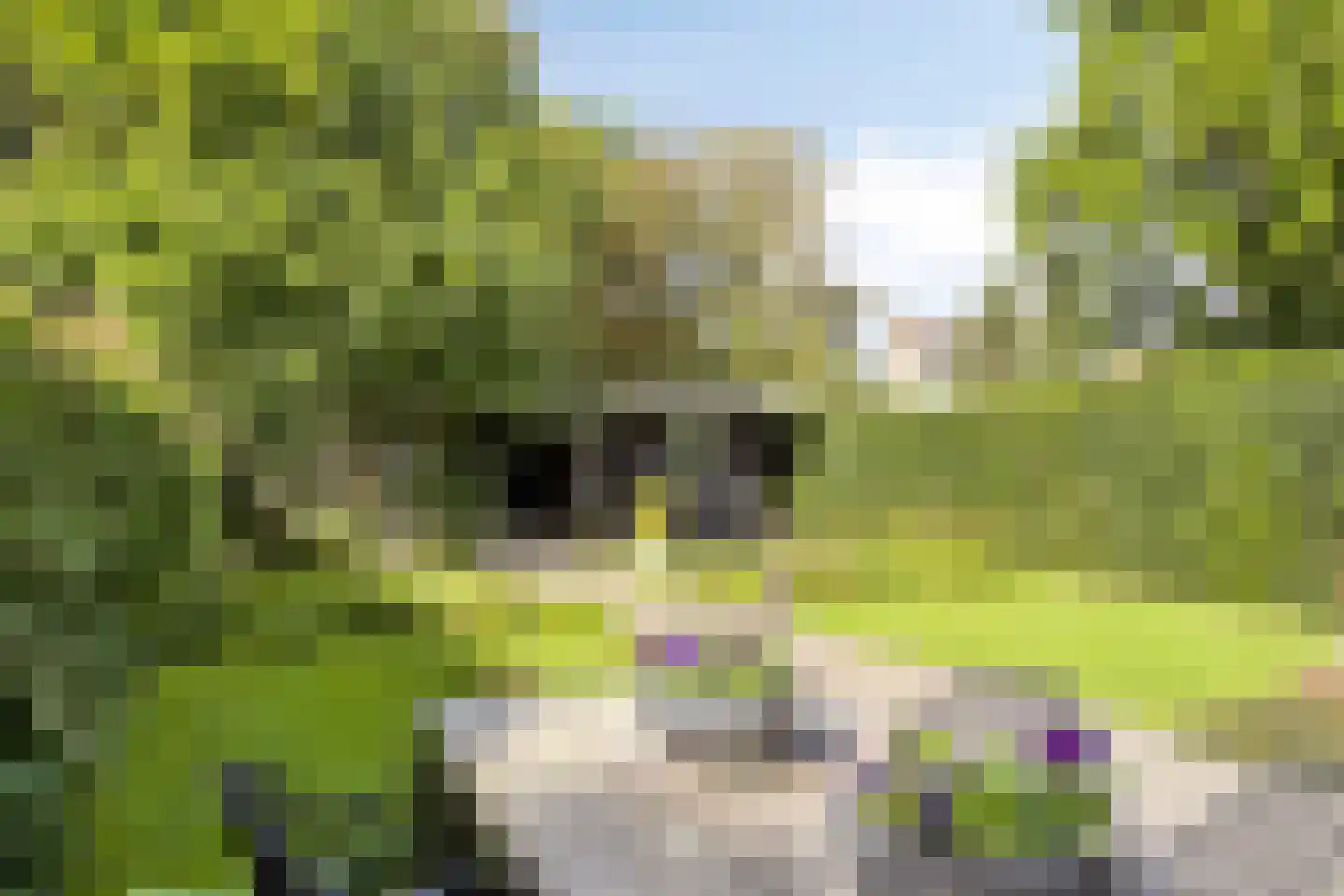 Kuijperstraat 14 Elst thumbnail 40