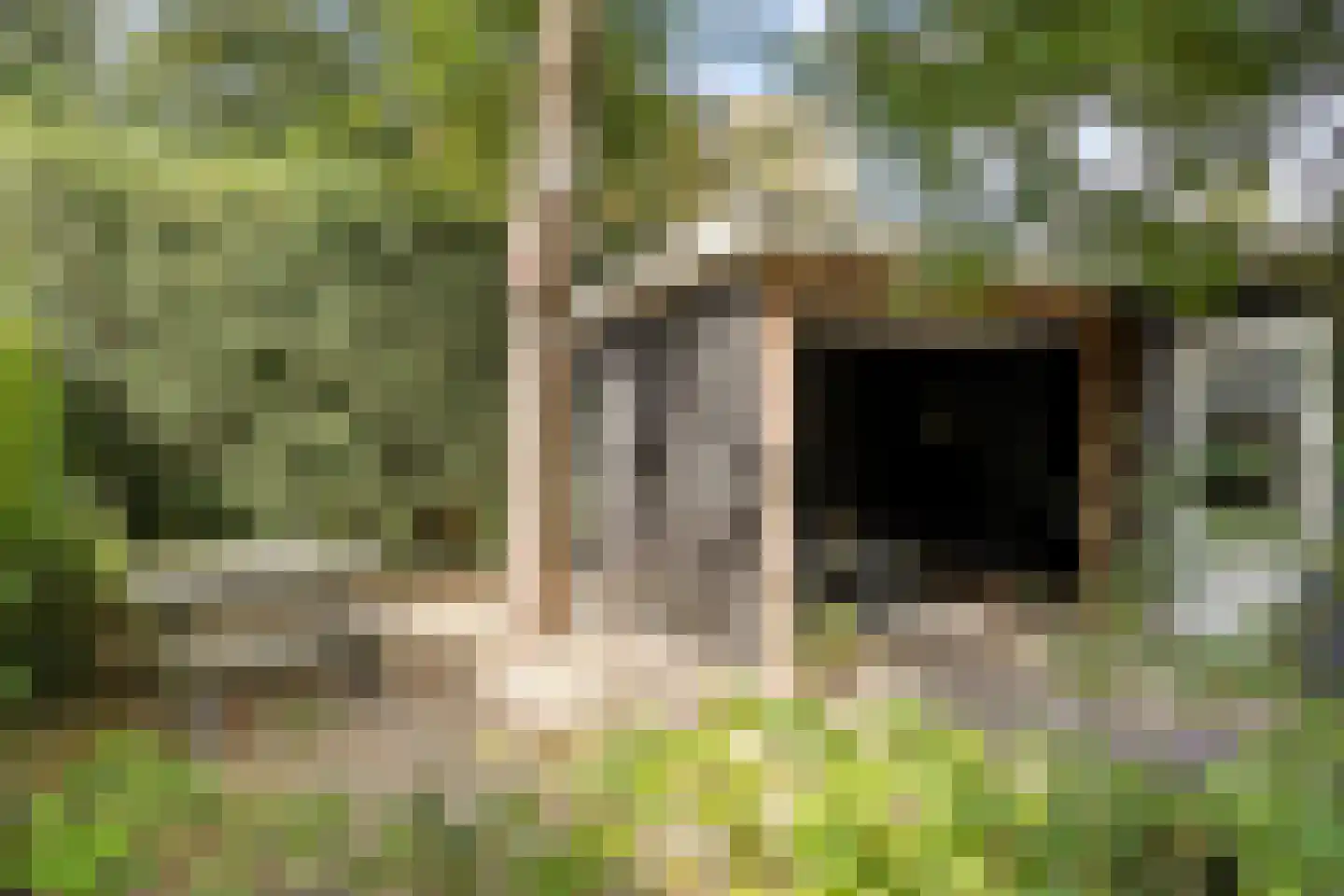 Kuijperstraat 14 Elst thumbnail 42