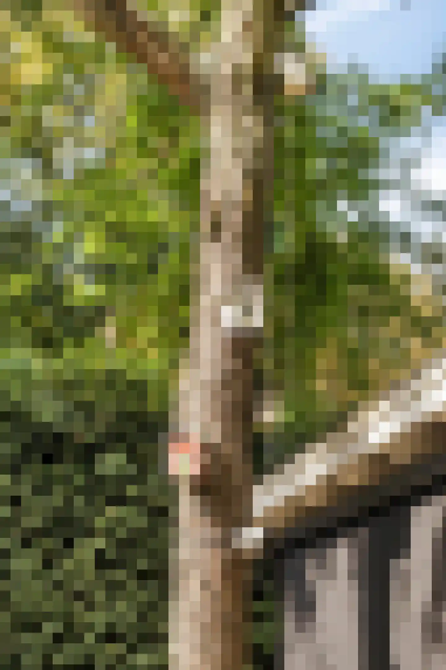 Kuijperstraat 14 Elst thumbnail 43