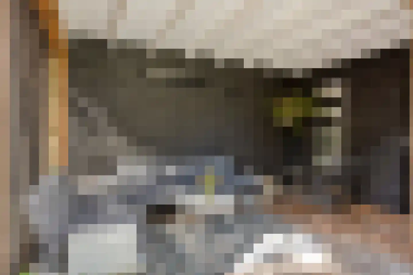 Kuijperstraat 14 Elst thumbnail 44