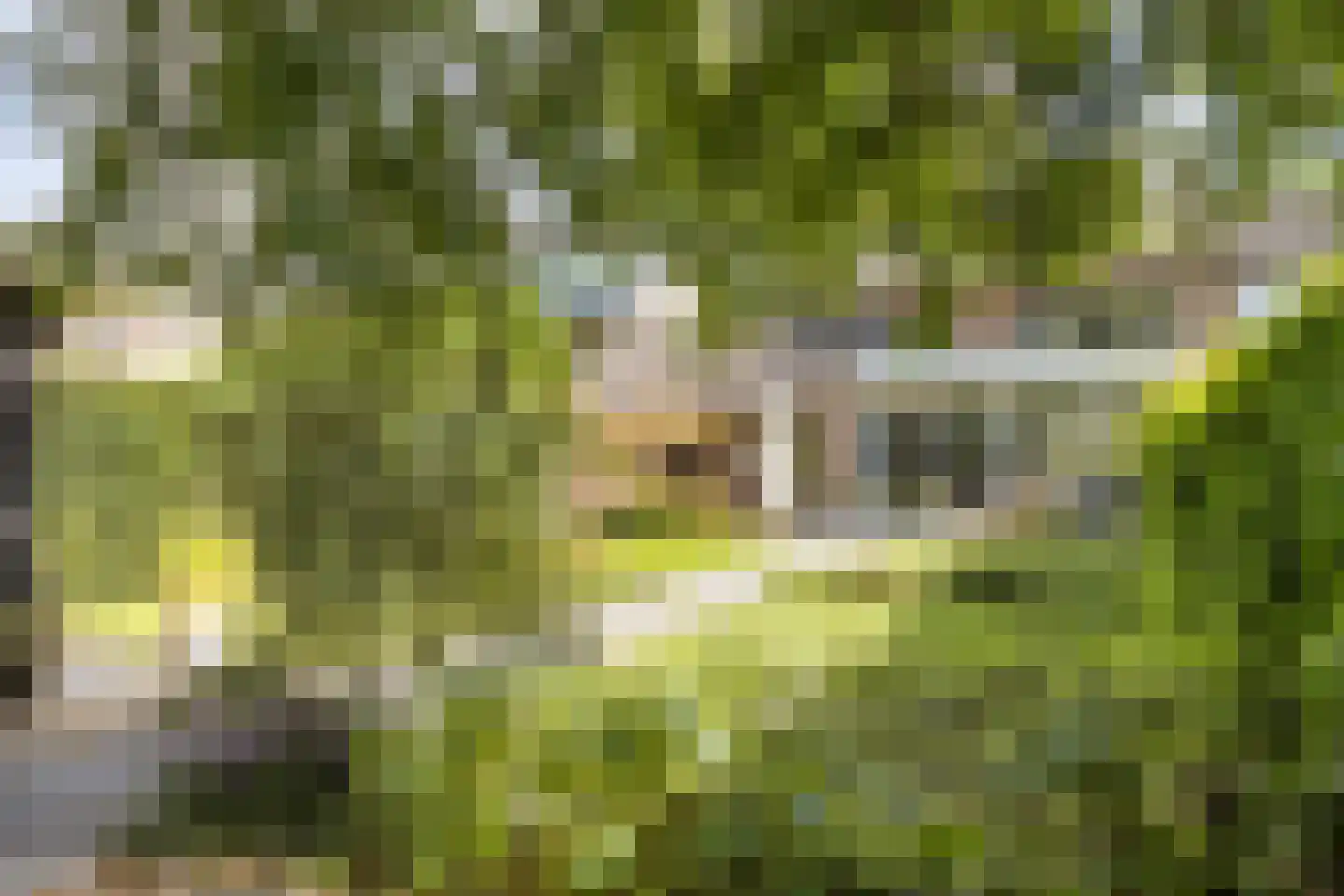 Kuijperstraat 14 Elst thumbnail 50