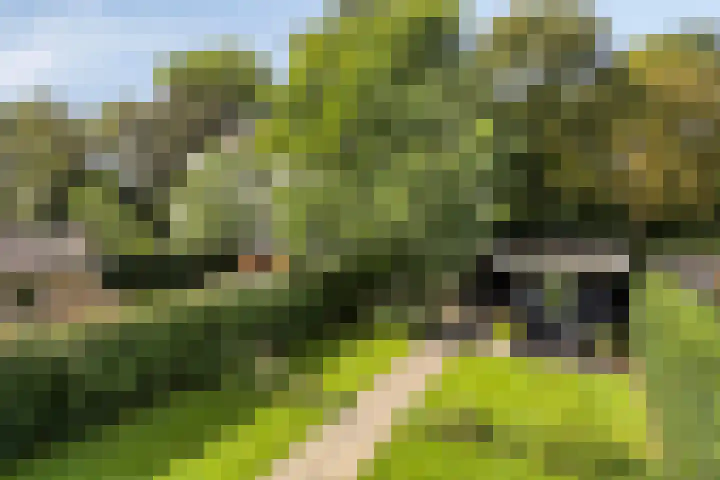 Kuijperstraat 14 Elst thumbnail 54