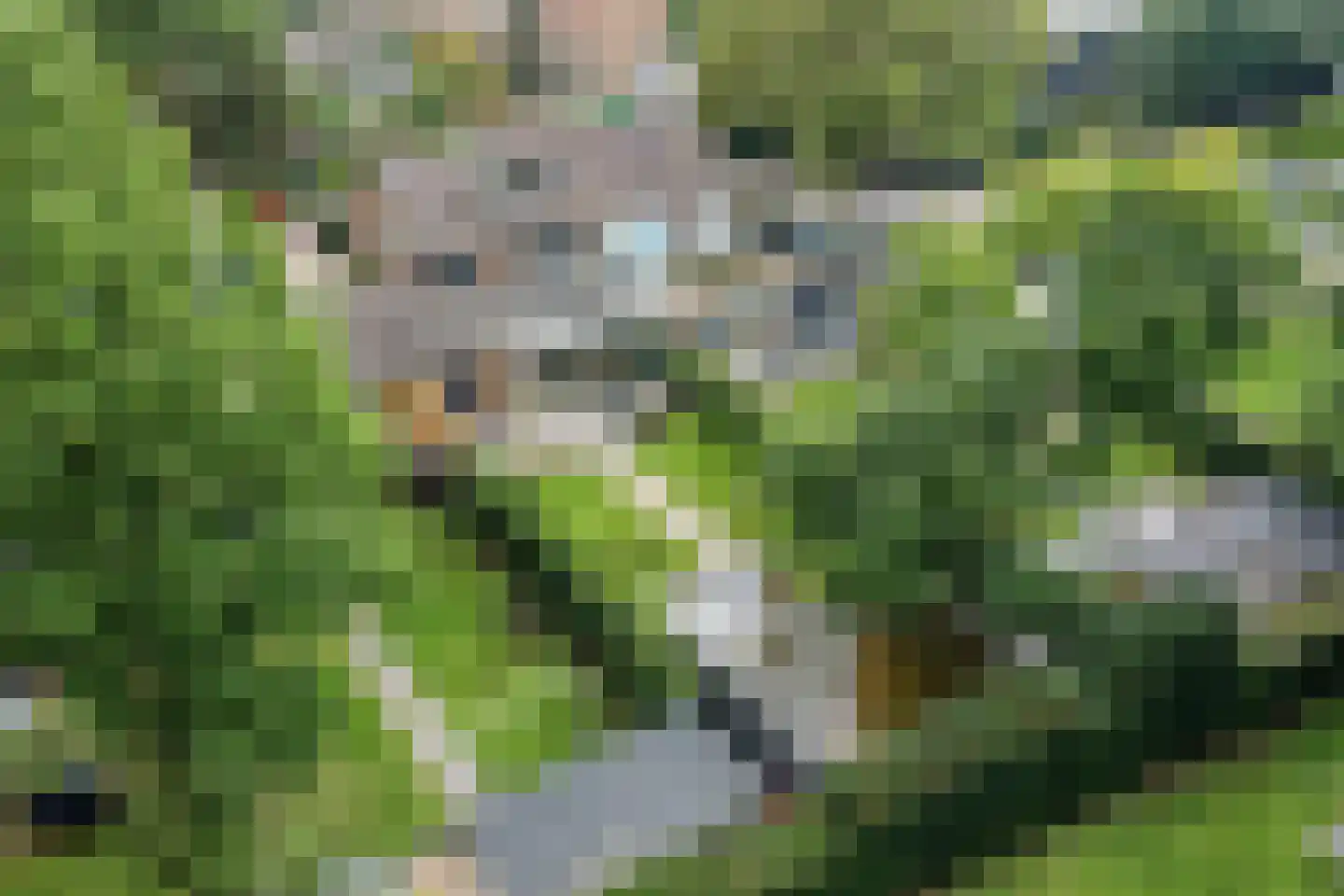 Kuijperstraat 14 Elst thumbnail 57