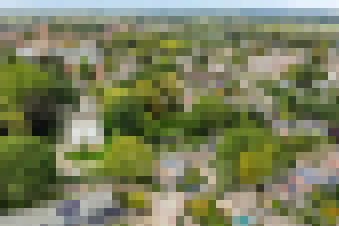 Kuijperstraat 14 Elst thumbnail 61