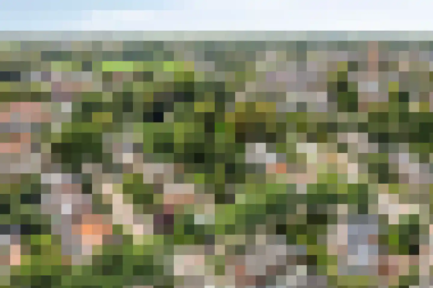 Kuijperstraat 14 Elst thumbnail 62