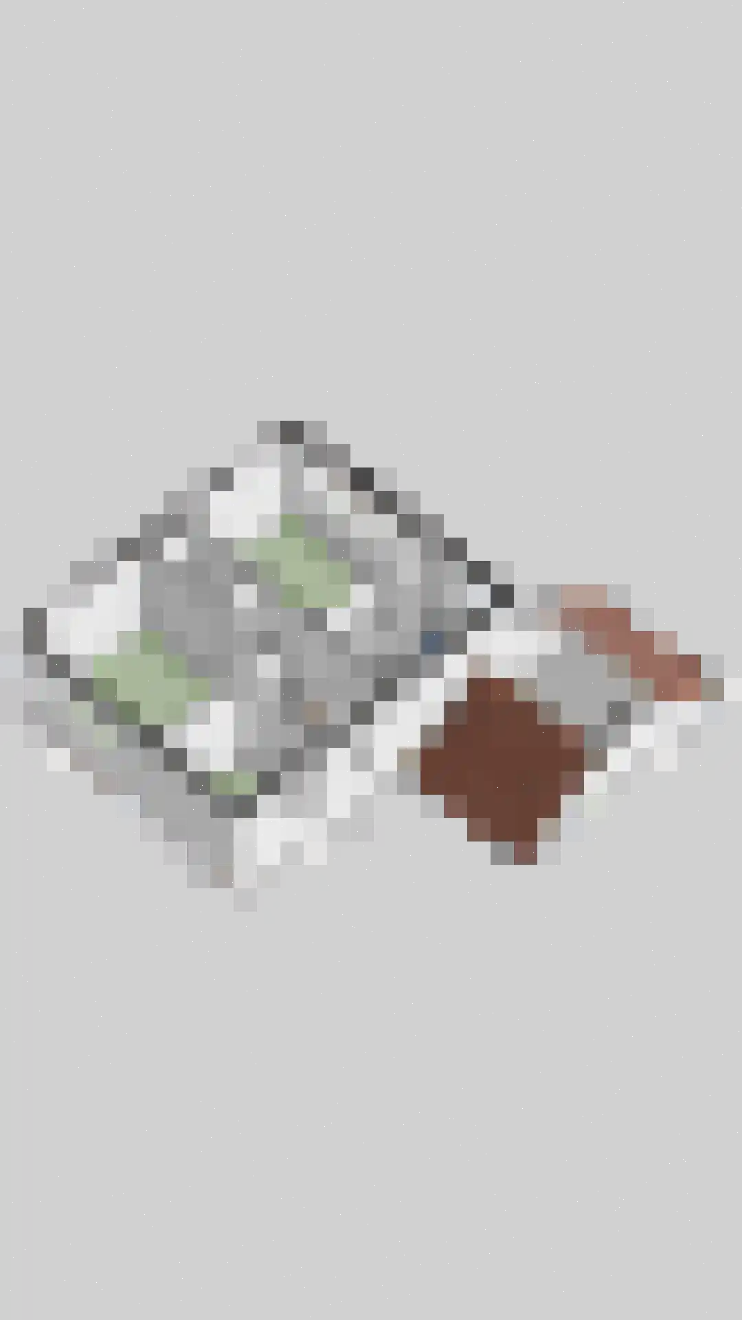 Kuijperstraat 14 Elst thumbnail 69