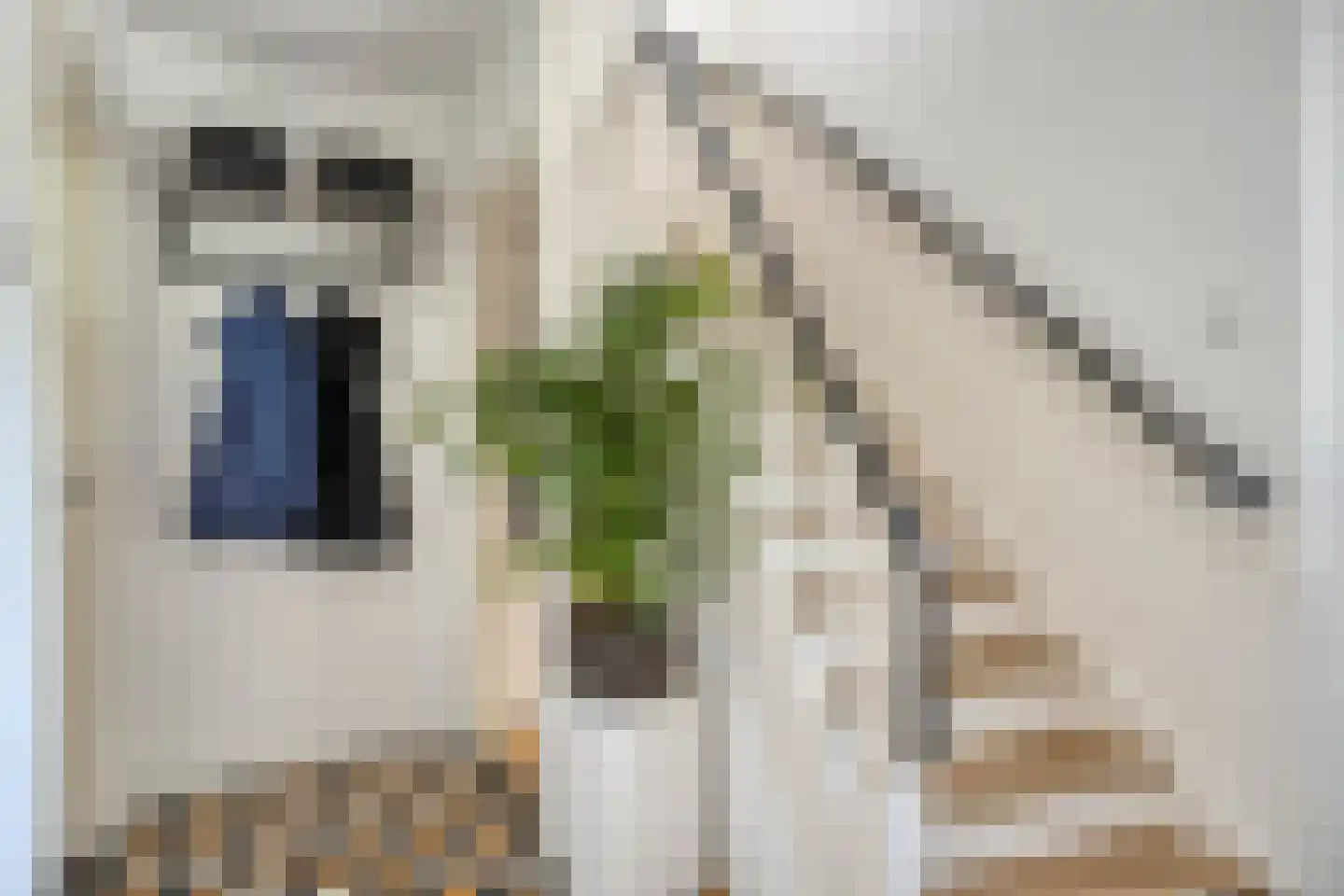 Kuijperstraat 14 Elst thumbnail 8
