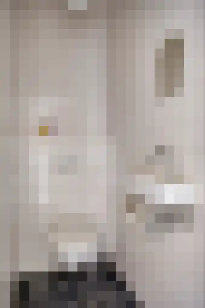 Kuijperstraat 4 Elst thumbnail 12