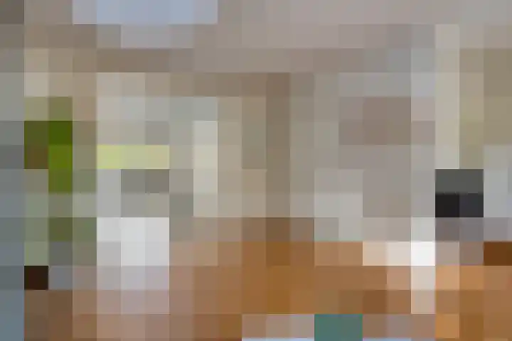 Kuijperstraat 4 Elst thumbnail 16