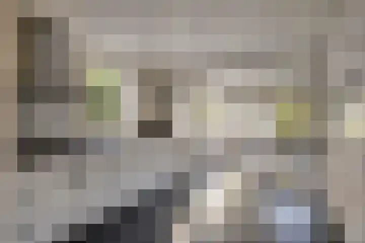 Kuijperstraat 4 Elst thumbnail 18